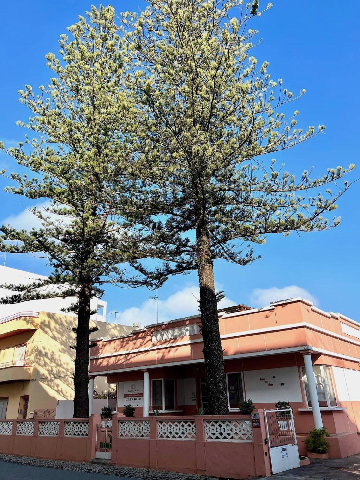 夫塞塔Casa Da Aida公寓 外观 照片